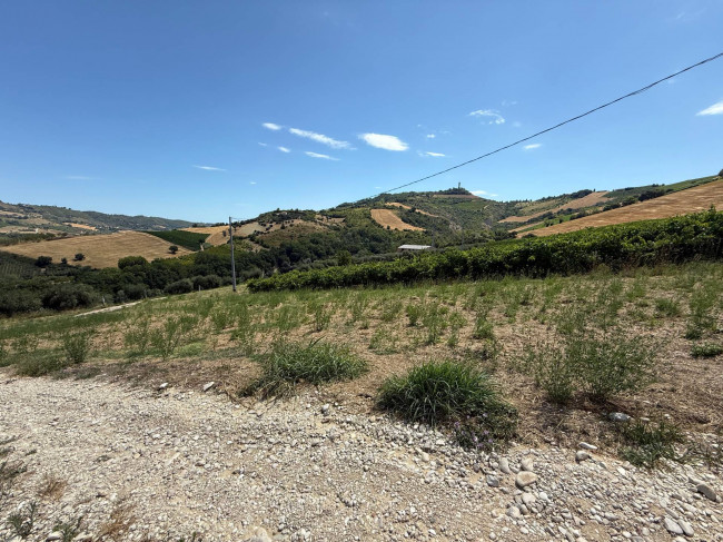 Rustici e Casali in Vendita a Ripatransone #13