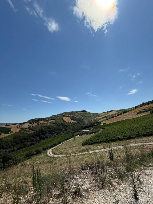 Rustici e Casali in Vendita a Ripatransone #14