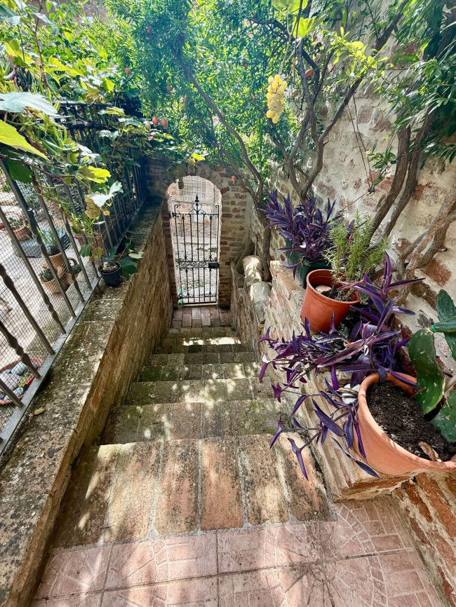 Appartamento in Vendita a Ripatransone #13