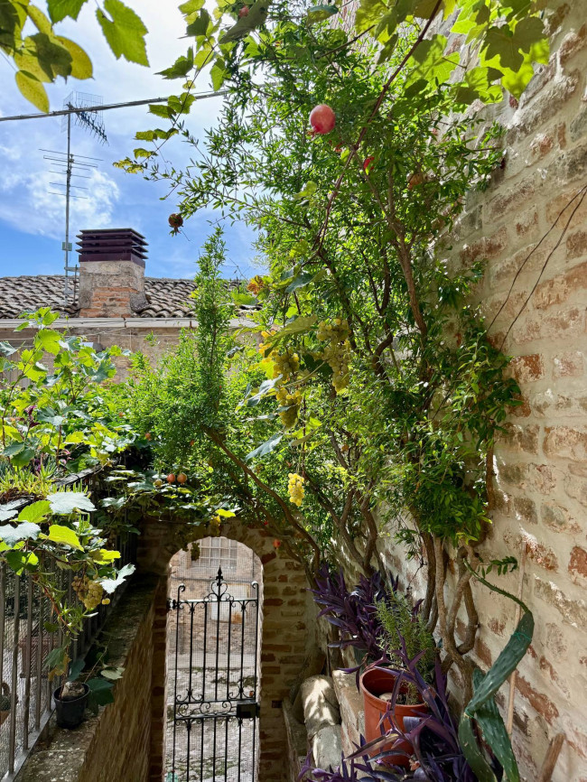 Appartamento in Vendita a Ripatransone #17