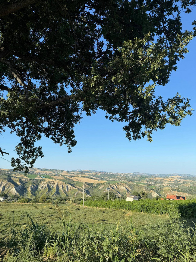 Rustici e Casali in Vendita a Appignano del Tronto #18
