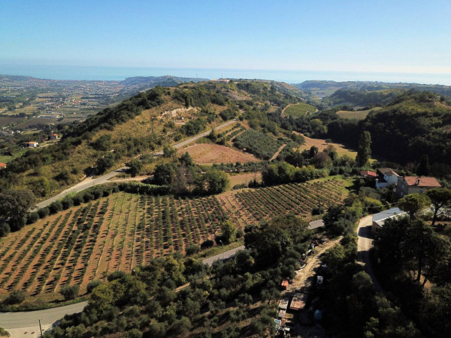 Rustici e Casali in Vendita a Montefiore dell'Aso #23