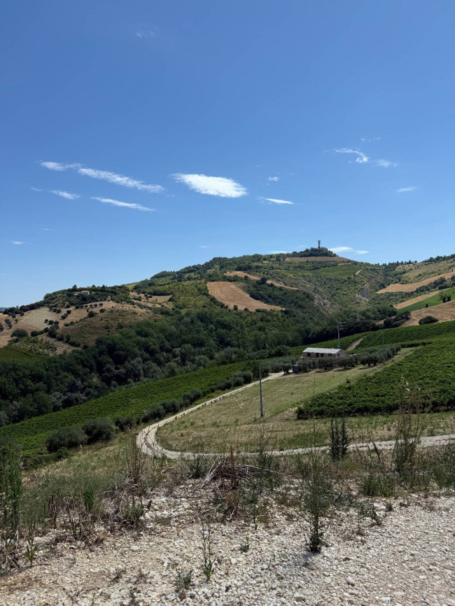Rustici e Casali in Vendita a Ripatransone #21