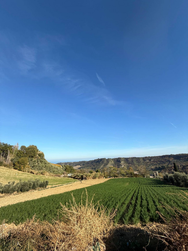 Rustici e Casali in Vendita a Ripatransone #21