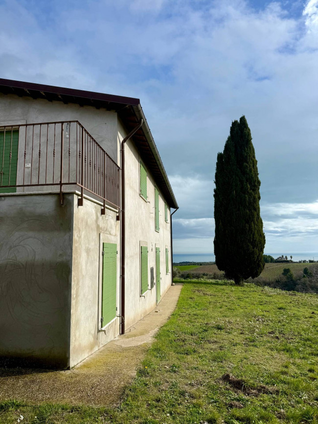 Rustici e Casali in Vendita a Ripatransone #52