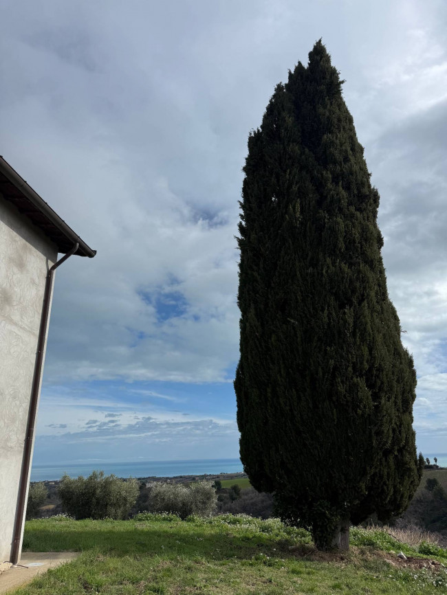 Rustici e Casali in Vendita a Ripatransone #54