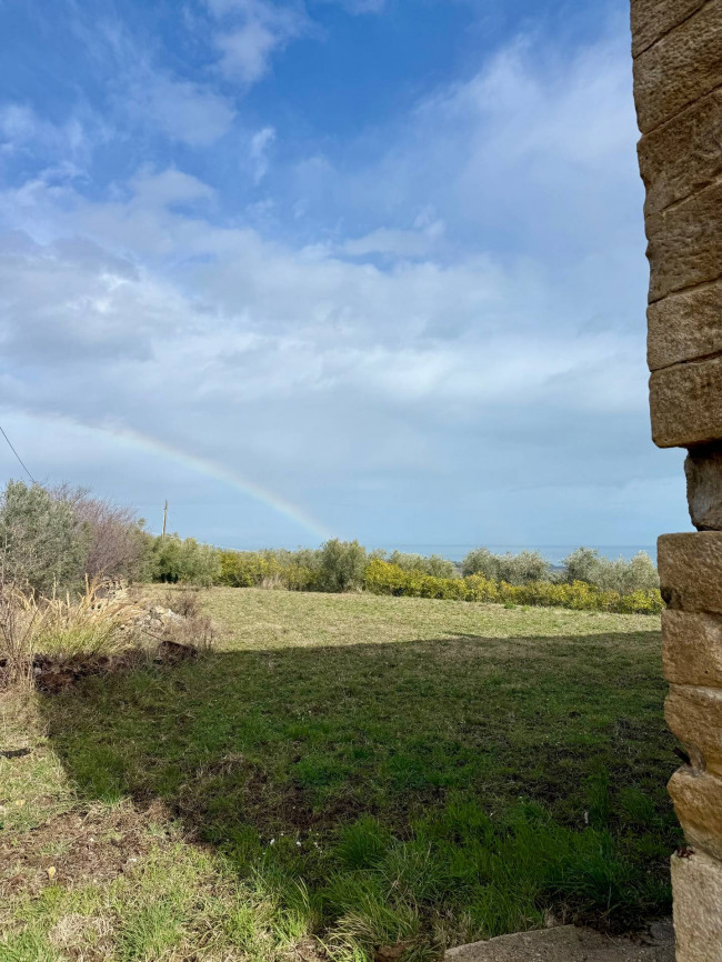 Rustici e Casali in Vendita a Ripatransone #58