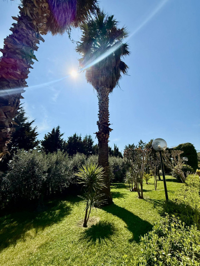 Rustici e Casali in Vendita a Offida #3