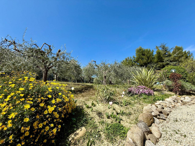 Rustici e Casali in Vendita a Offida #4