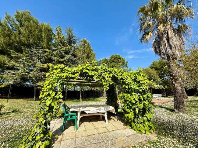 Rustici e Casali in Vendita a Offida #6