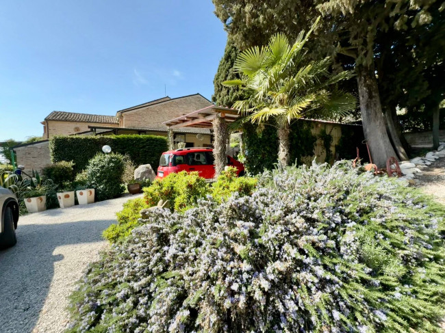 Rustici e Casali in Vendita a Offida #8