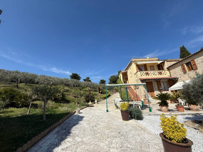 Rustici e Casali in Vendita a Offida #9