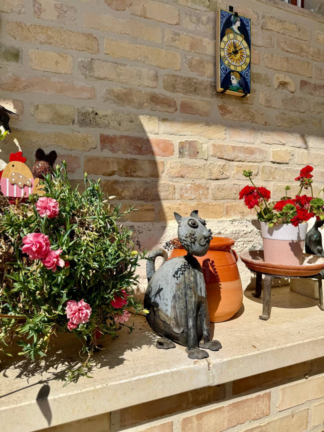 Rustici e Casali in Vendita a Offida #21