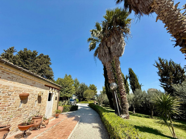 Rustici e Casali in Vendita a Offida #28