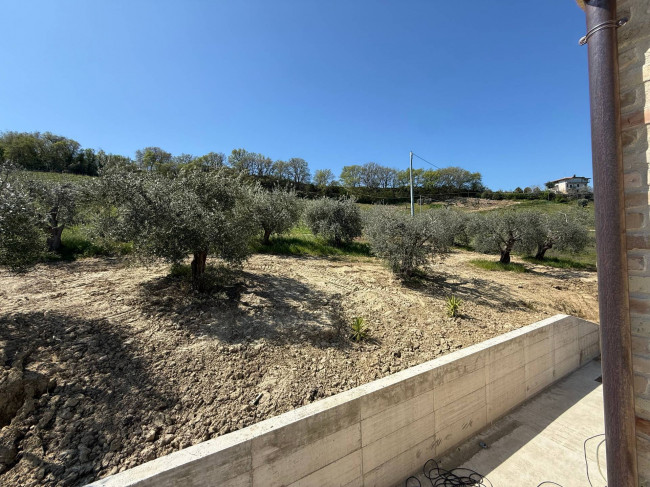Rustici e Casali in Vendita a Ripatransone #19