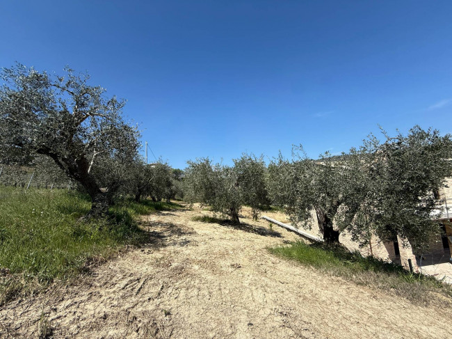 Rustici e Casali in Vendita a Ripatransone #25